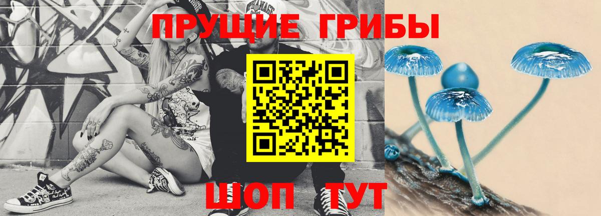 Краснокамск  Псилоцибиновые грибы прущие грибы  наркота  Вход с VPN 
