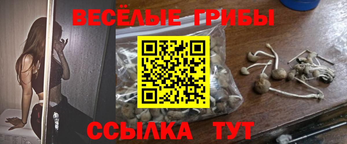 Галлюциногенные грибы прущие грибы Краснокамск